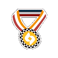 Badge Medal Sticker by S.I.N. Implant Global