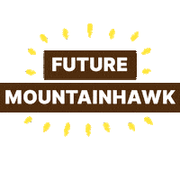 Lehighu Sticker by Lehigh University