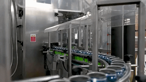 kgribbins giphygifmaker GIF