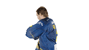 ekzellereisbaeren 2 eishockey alpshockeyleague zell am see Sticker