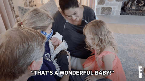 Nikki Bella Sisters GIF by E!