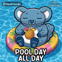 All Day Swimming GIF by VeeFriends