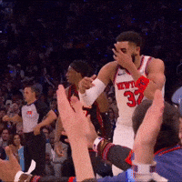 Karl Anthony Towns Kat GIF