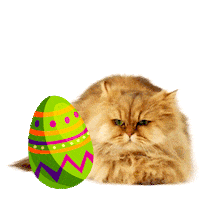 mmb monetakocour Sticker by MonetaMoneyBank