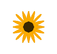Summer Spinning Sticker by Demic