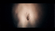Swallow The Sun Falling GIF by Century Media Records