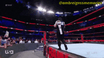 Believe That Roman Reigns GIF