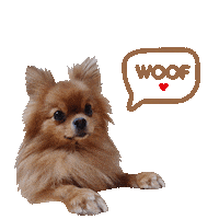 lifexlim dog pepsi woof felixlim Sticker