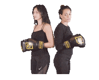 Beat Box Sticker by Ox Fitness Lab