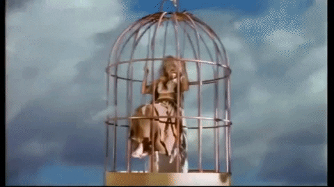 andyk250 giphyupload birdcage rednex old pop in an oak GIF