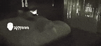 Jk Are You Sure GIF