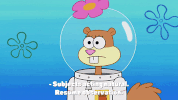 season 9 the fish bowl GIF by SpongeBob SquarePants