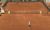 GIF by hokejkv