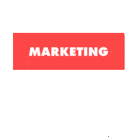 DigitalInfo marketing маркетинг digitalinfo Sticker