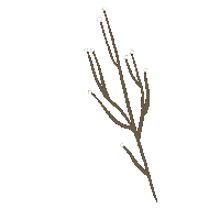 Flower Leaf Sticker by TOrZoNBorZ