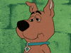 scooby doo crying GIF