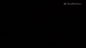 Animated Christmas Snow Transitions