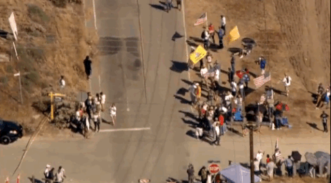 protest GIF