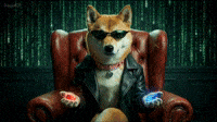 Choose Kindness | DogeGF Matrix