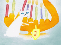 Cat Spinning GIF by Kimmy Ramone