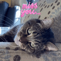 Miss You Love GIF