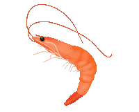 Food Sea Sticker by stephlamdesign