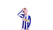 Voetbalvereniging_Scherpenzeel sport voetbal bal blauwwit Sticker