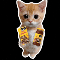 Comida Molito GIF by Mole Doña María