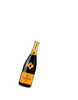 champagne pop bottles Sticker by SkinnyFit