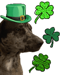 St Patrick Smile Sticker by Bespattered Facade