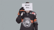 Hockey Del GIF by Löwen Frankfurt