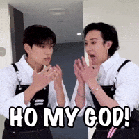 Stray Kids Omg GIF