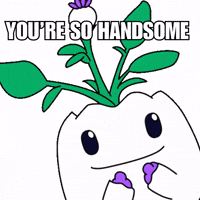 I Want You Yes GIF by Magic Eden