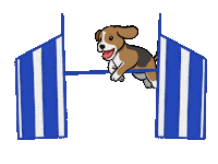 Agility Sticker