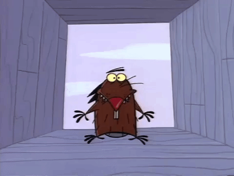 angry beavers nicksplat GIF