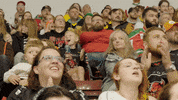 Ice Hockey GIF by Cardiff Devils