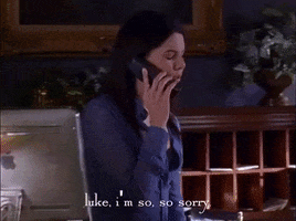 season 2 netflix GIF by Gilmore Girls 