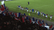 france celebration GIF by Guinness Six Nations