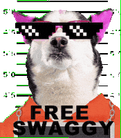 Dog Mexico Sticker by SWAGGY WOLFDOG