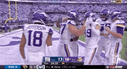 Minnesota Vikings Football GIF by NFL