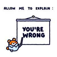 Hamster Youre Wrong GIF