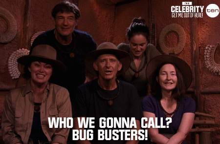 imacelebrityau GIF by I'm A Celebrity... Get Me Out Of Here! Australia