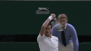 celebration tennis GIF by Wimbledon
