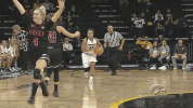 Iowa Hawkeyes GIF by University of Iowa Hawkeyes Athletics