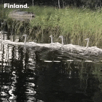 Summer Water GIF by world-weather.ru