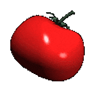 tomato STICKER