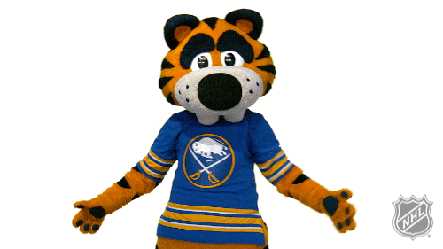 Ice Hockey Thumbs Down GIF by NHL
