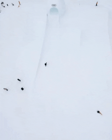 nicovuignier giphyupload GIF
