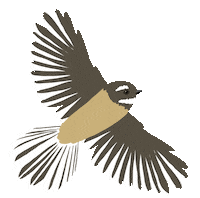 New Zealand Flying Bird Sticker by Melissa Boardman