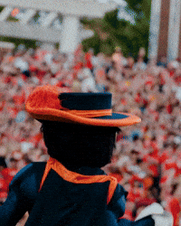 Virginia Football Mascot GIF by Virginia Athletics